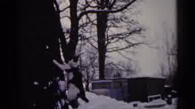 Minnesota USA (1961): Curious Cat Climbing Wall To Watch Three Men Enjoying Lunch