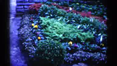 Minnesota USA (1961): Colorfulness And Nature Gifted Pace To Visit And Flowers