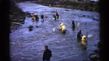 Minnesota USA (1961): People With Nets In River