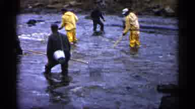 Minnesota USA (1961): People In Like With Nets Catching Fish