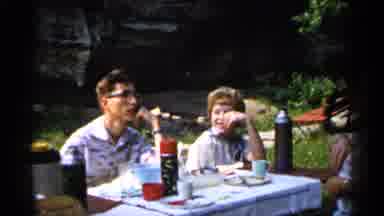 Minnesota USA (1961): Family Having Picnic In Park On Sunny Day