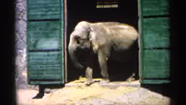 Minnesota USA (1961): Elephant House Ben Sign Sunny Outside Outdo Others Daytime