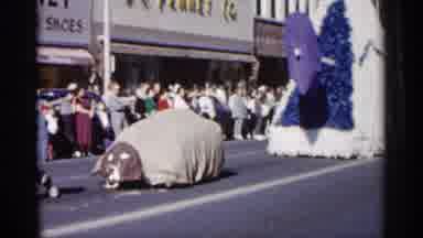 Minnesota USA (1961): Country Pride Celebrating Pu Bunion And His Dog Blue SLots