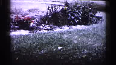 Minnesota USA (1961): Film Of Rod On Sunny Day With Cars Speeding Past
