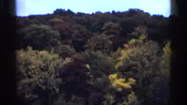 Minnesota USA (1961): Trees Turning Red Yellow Grandmother And Brown Father All