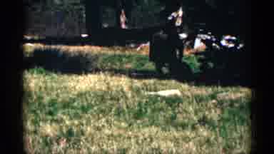 Colorado USA (1963): Mir And Child Enjoy Time Spent In Natural Setting With Grass