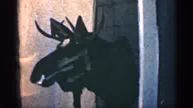Colorado USA (1963): Milan Head Posing S Trophy In Private Building Other House
