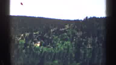 Colorado USA (1963): Small Mountains On Road Trip Covered In Green Pine Trees