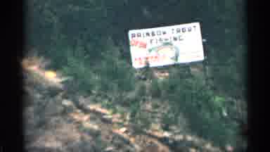 Colorado USA (1963): A Terrible Wildlife In History