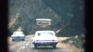 Colorado USA (1963): Nice Looking Nature Shows Betty Of Hills And Long Trees Round