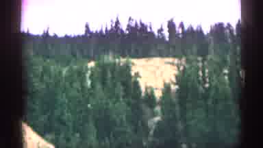 Colorado USA (1963): Car Drives Down Bend In Rod Benet Mountains And Pine Trees