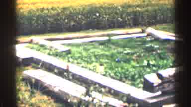 Colorado USA (1963): Trees Cut Down Yard Family Homes Out Do Other Landscape Dr