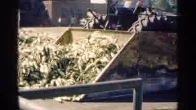 Montgomery Minnesota (1963): Plow - Like Chine Moving Lot Of Ht Looks Like