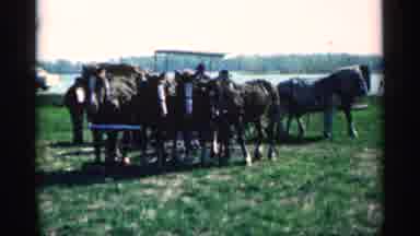 Montgomery Minnesota (1963): Ring On Grassy Hill People Sand While Housemothers