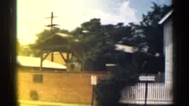 Texas USA (1963): Footrest Zone Totally Covered By Green Vegetation With Gigantic