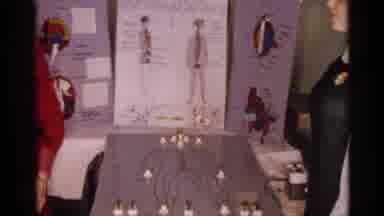 Texas USA (1963): Science Fair Exhibit Skeletal Wiring System Of Horse Anatomy