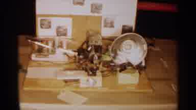 Texas USA (1963): Science Fair Display Md Of Wood Is Filled With Informational
