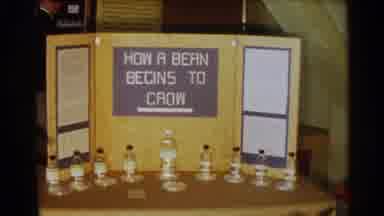 Texas USA (1963): Science Project Bird Bout How Bend Grow