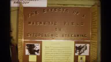 Texas USA (1963): Science Fair Project On Cats Of Magnetic Fields On Cytoplasmic