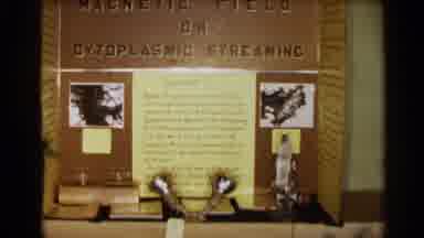 Texas USA (1963): Science Fair Project Display Magnetic Field On Cytoplasmic