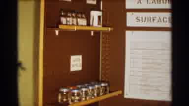 Texas USA (1963): Three Paneled Peg Bird Holds Shelves Of Jr Bottles And Notes