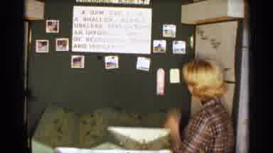Texas USA (1963): Girl Looking Over Her School Project S She Looks Towards Comer