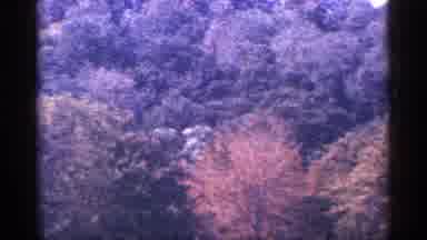 New York City (1964): House On Hill And Property Round It With Trees
