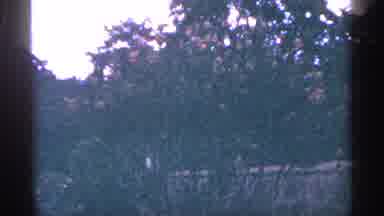 Washington DC (1964): Trees And Like With Mountain In Distance