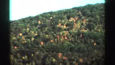 West Virginia (1964): Trees On Hill And A A Overhead Trees Following