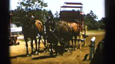 Duluth Minnesota (1965): Brown Housemothers Hitched To Red Stagecoach On Sunny Day