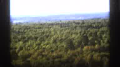 Duluth Minnesota (1965): Large Wooded Are Shot Father On Above With Man Looking