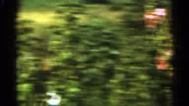 Duluth Minnesota (1965): Weatherboarding Of Garden With Man Beautiful Flowers