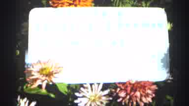 Duluth Minnesota (1965): Tribute To Someone Who Died On Island