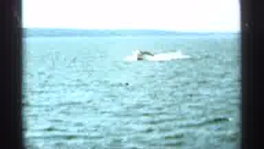 Duluth Minnesota (1965): Speedboat Travels Quickly Over Terri Of Water In Waterway