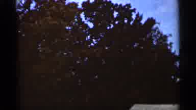Duluth Minnesota (1965): Trees Turning Red Yellow Grandmother And Brown Father All