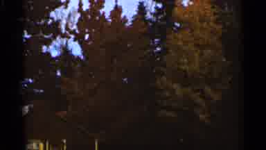 Duluth Minnesota (1965): Footage Of House And Trees In Wooded Area