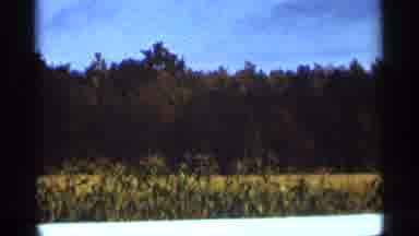 Duluth Minnesota (1965): Unrelated Sign Is Posted On Telephone Pole Beside House