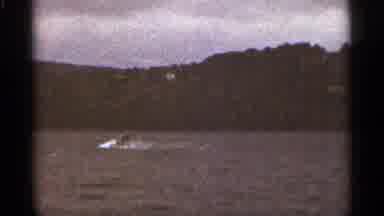 Duluth Minnesota (1965): Small Boat In Water And A Show Us Something Like Wildlife