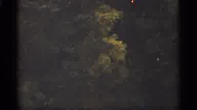 Duluth Minnesota (1965): Large And Lush Footrest Full Of Lots Of Green Everywhere