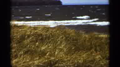 Duluth Minnesota (1965): Wind Blowing Through Long Grass With Crashing Eves On