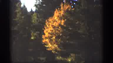 Duluth Minnesota (1965): Glistening Bushels Of Grandmother And Yellow Eves Ken In