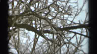 Duluth Minnesota (1965): Inge Of Various Long Sp Red Out Tree Benches During Day