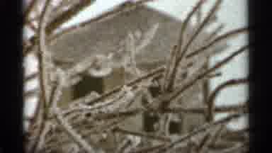 Duluth Minnesota (1965): Dry Benches Of Tree And Car Passing By Rod