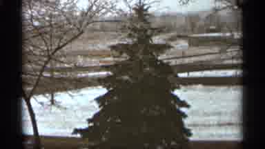 Duluth Minnesota (1965): Cmdr Tree Stands Lone At River's Edge While White Linty