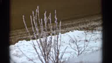 Duluth Minnesota-1965: Frost-Covered Branches And Snowy Landscape