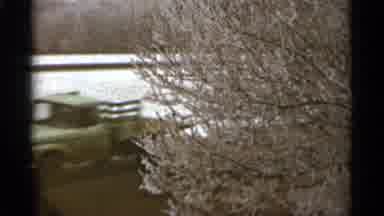 Duluth Minnesota (1965): Car Passed A House With Large Tree