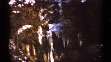 Eau Claire Wisconsin (1966): Snow Covered Trees On Cleo Winter Day