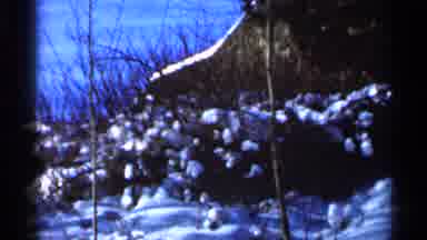 Eau Claire Wisconsin (1966): Snow Covered Trees On Cleo Winter Day