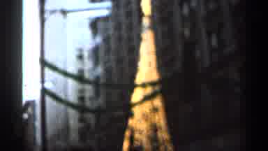Florida USA (1966): Different Type Of Christmas Trees Being Disciplined Different