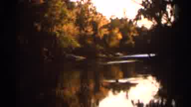 Florida USA (1966): Like And Top Of A Big Building